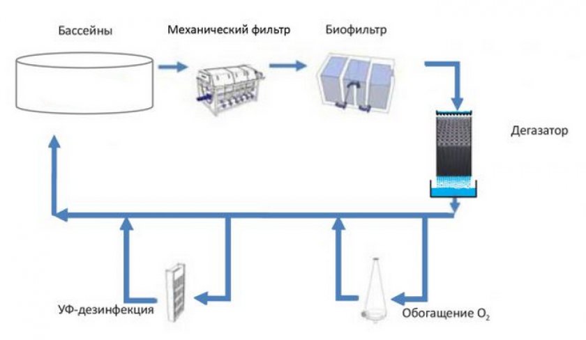 Схема узв для форели